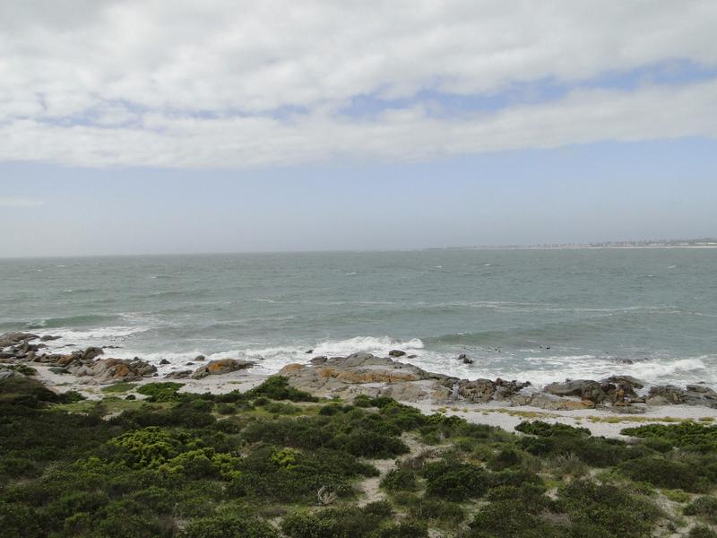 To Let 3 Bedroom Property for Rent in Britannia Bay Western Cape